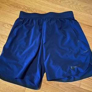 Nike Flex Repel Shorts